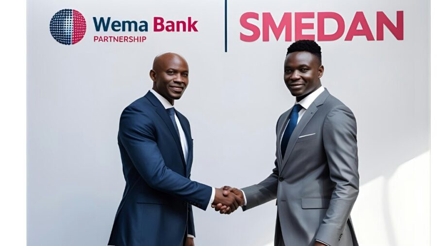 Empower Your Business with the SMEDAN-Wema Capacity Building Program for MSMEs